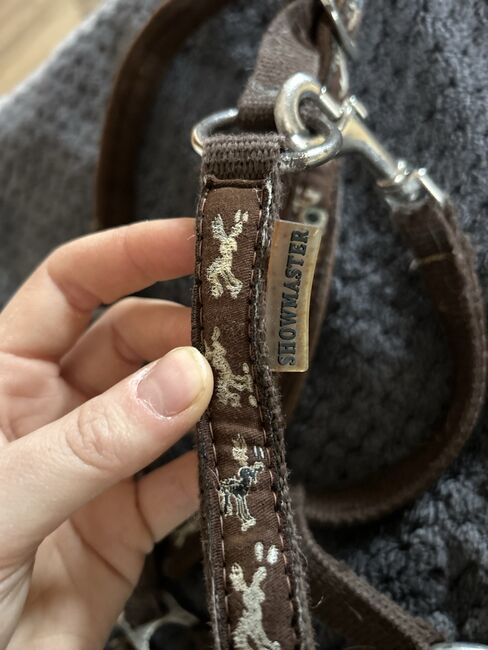 Shetty Halfter, Halfter , Lena Pittermann , Halters, Wirsberg , Image 6