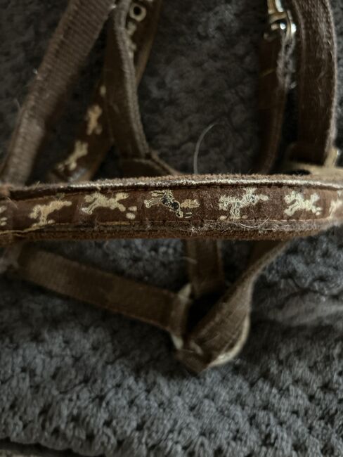Shetty Halfter, Halfter , Lena Pittermann , Halters, Wirsberg , Image 7