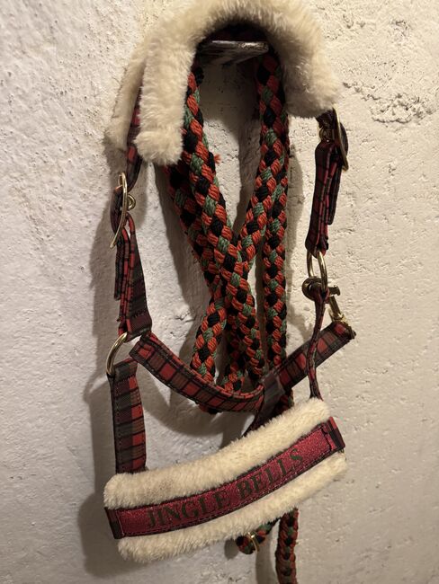 Shetty Halfter, Emily , Halters, Lengenfeld