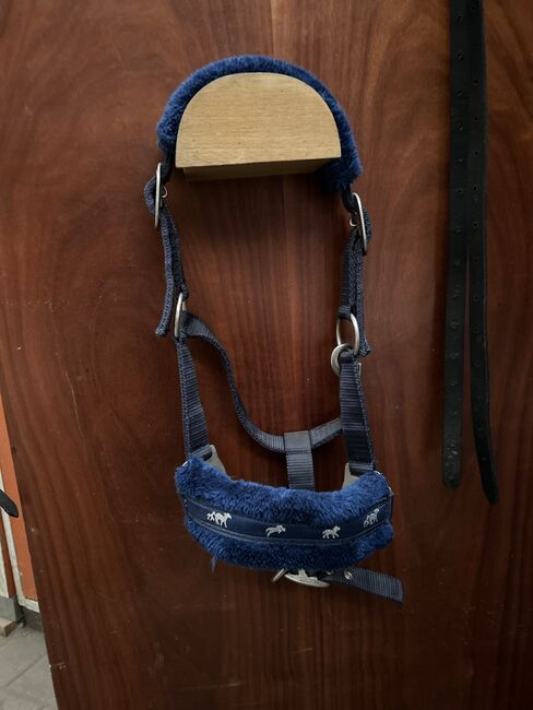 Shetty Halfter zuverkaufen, Laura, Halters, Rheine