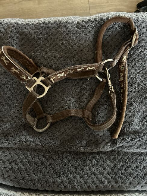 Shetty Halfter, Halfter , Lena Pittermann , Halters, Wirsberg , Image 9