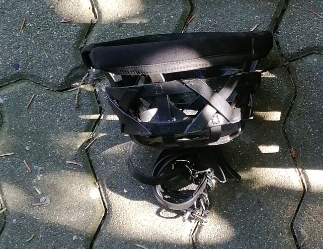 Fressbremse Shetty, Muffin, Halters, Schwülper