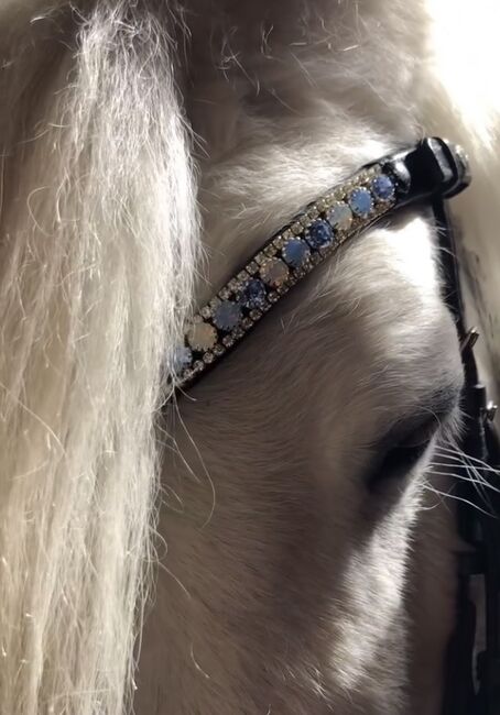Shetty Stirnriemen Cavoux *neuwertig*, Cavoux Horsefashion, Corinna, Browbands, Waltrop