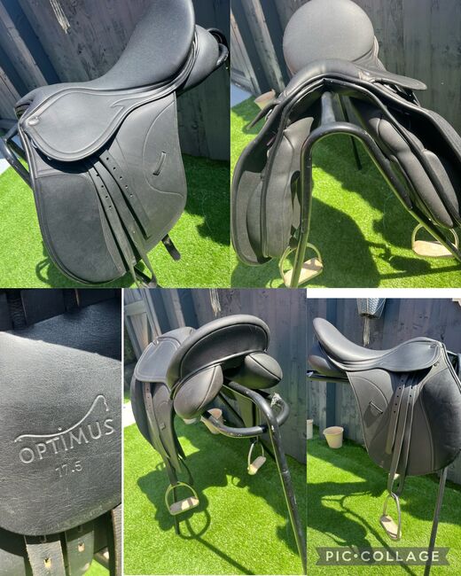 Shires Optimus 17.5” Black changeable gullet, Shires  Optimus, Elise  Clare, All Purpose Saddle, Leicester