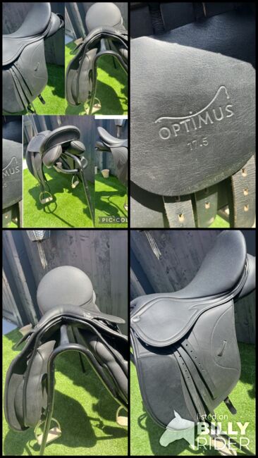 Shires Optimus 17.5” Black changeable gullet, Shires  Optimus, Elise  Clare, All Purpose Saddle, Leicester, Image 9