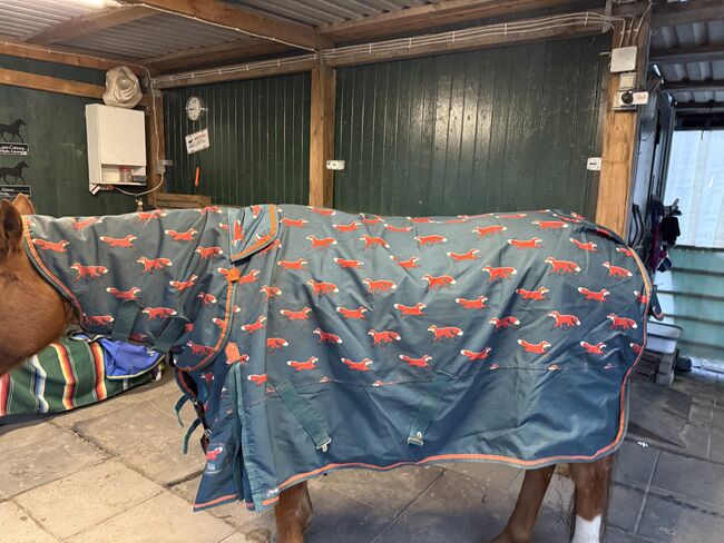 Shires Outdoordecke 200 g - Gr .145, Shires Highlander, KIra, Horse Blankets, Sheets & Coolers