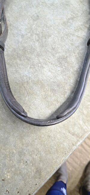 Shires Velocity Bridle Brown Full sized., Shires  Velocity, Nicola Cawley, Bridles & Headstalls, Witham, Image 5