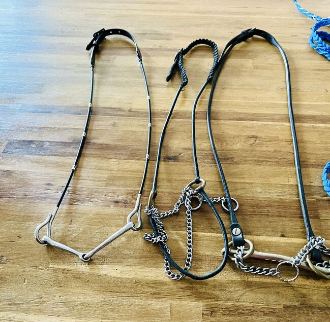 Schauhalfter, Pferdeschauhalfter, Marianne Riedesel , Halters, Dürrenäsch , Image 4