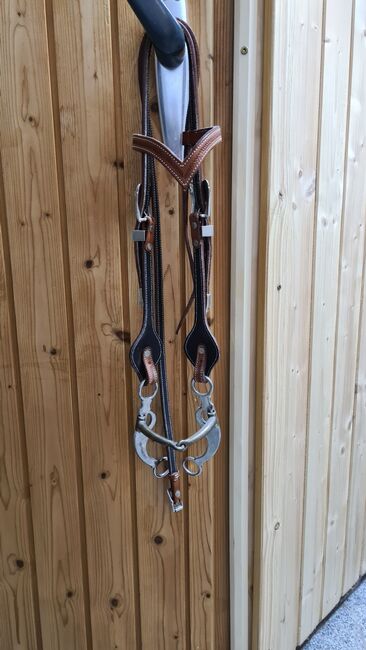 Showtrense, Sarah E., Bridles & Headstalls, Aichwald, Image 3