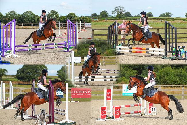 Showjumping Pony with huge potential, Lisa Crookes, Konie na sprzedaż, Keynsham, Image 2