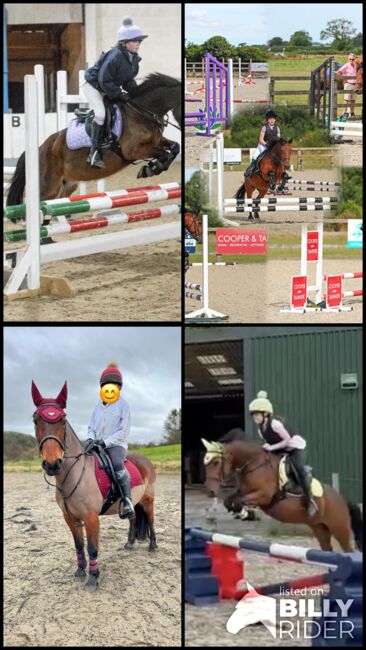 Showjumping Pony with huge potential, Lisa Crookes, Konie na sprzedaż, Keynsham, Image 5