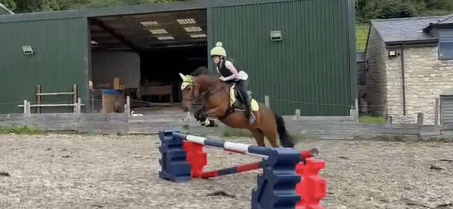 Showjumping Pony with huge potential, Lisa Crookes, Pferd kaufen, Keynsham, Abbildung 4