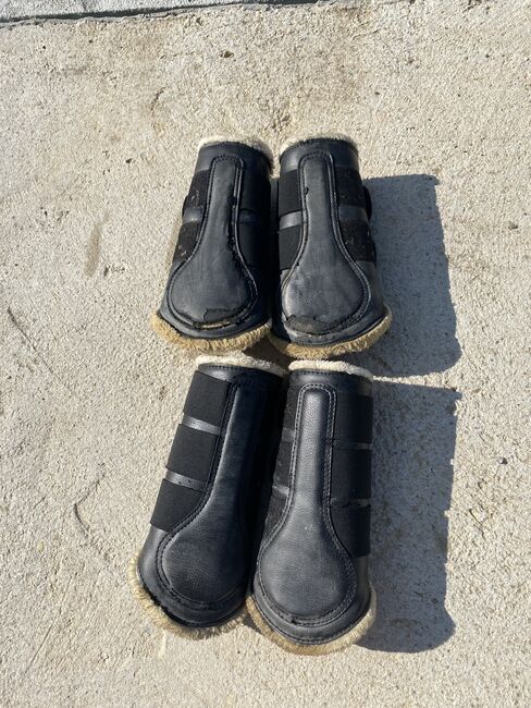 Gamaschen Showmaster, Showmaster, Azzurra Ryba, Tendon Boots, Wien, Image 2