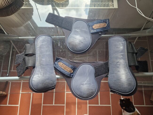 Showmaster gamaschen wb full blau rosegold, Showmaster  Gamaschen , K. Werner, Tendon Boots, Westerwalsede, Image 2