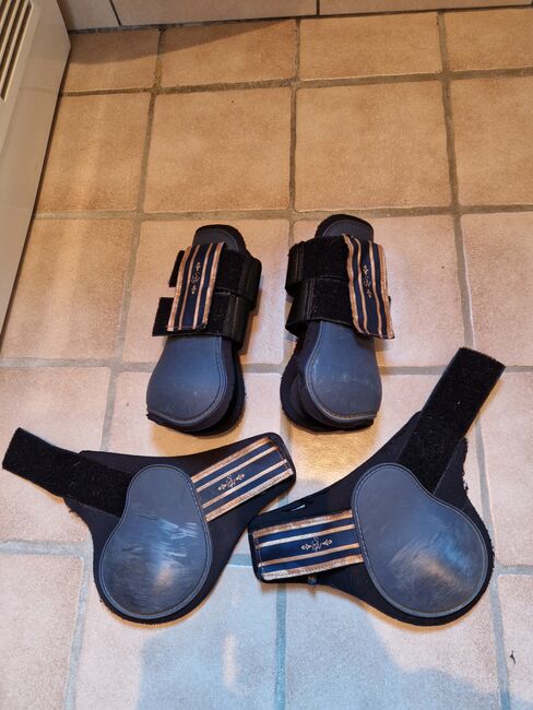 Showmaster gamaschen blau rosegold wb full, Showmaster  Gamaschen , K. Werner, Tendon Boots, Westerwalsede