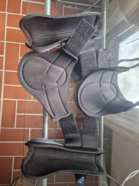 Showmaster gamaschen wb full blau rosegold, Showmaster  Gamaschen , K. Werner, Tendon Boots, Westerwalsede, Image 3
