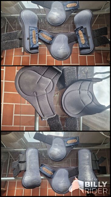 Showmaster gamaschen wb full blau rosegold, Showmaster  Gamaschen , K. Werner, Tendon Boots, Westerwalsede, Image 4