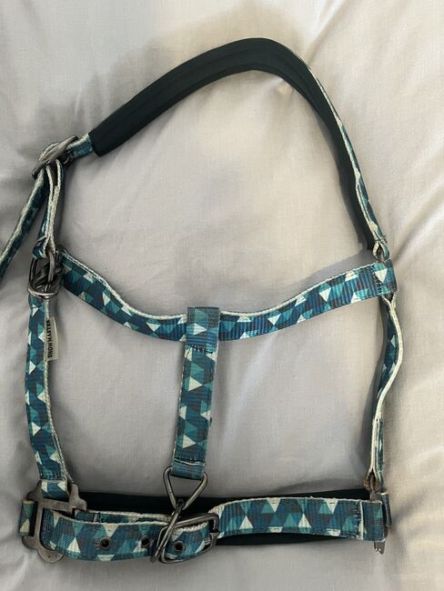 Halfter mit Strick Showmaster, Hedy, Halters, Ulm, Image 4