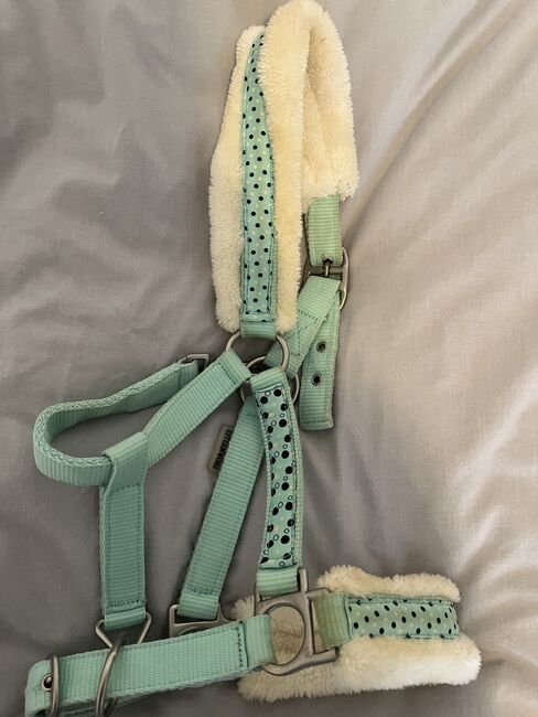 Halfter mit Strick Showmaster, Hedy, Halters, Ulm, Image 4