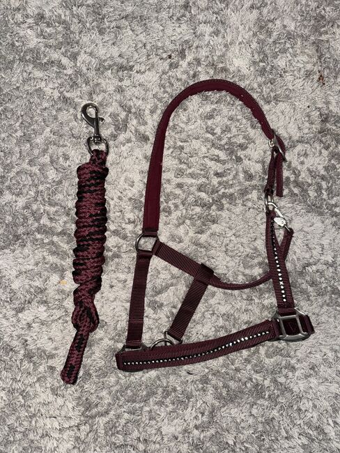 Showmaster Halfter in dunkelrot mit passendem Strick, Showmaster, Lina Klages, Halfter, Bovenden