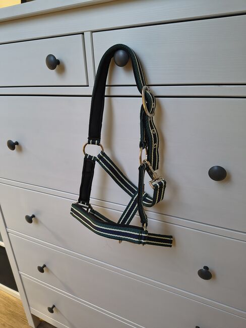 Showmaster Halfter Basic Shetlandpony Shetty neu, Showmaster Halfter Basic, Sarah, Halters, Eichstätt 