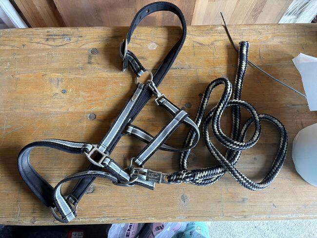 Showmaster Halfter mit Strick, Showmaster  Halfter mit Führstrick , Fiona Ulbricht , Halters, Fritzlar