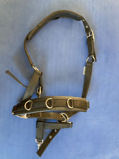 Showmaster Kappzaun schwarz, Showmaster, Natalie Klamt, Lunging, Schalkau