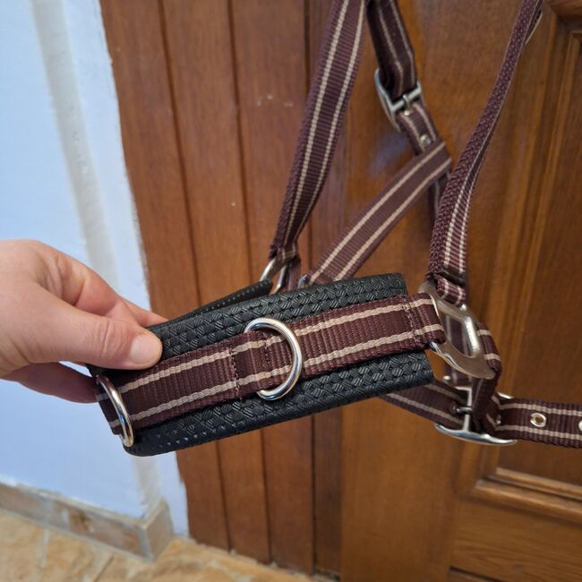 Kappzaum-Halfter von Showmaster Gr. Warmblut, Showmaster, Graf-Knaupp , Bitless Bridles, Nidderau