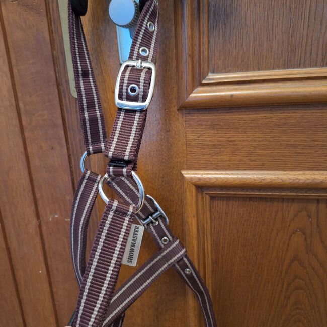 Kappzaum-Halfter von Showmaster Gr. Warmblut, Showmaster, Graf-Knaupp , Bitless Bridles, Nidderau, Image 7