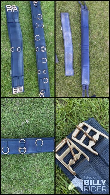 Showmaster Longiergurt blau/roségold Full, Laura S., Lunging, Solingen, Image 7