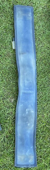 Showmaster Longiergurt blau/roségold Full, Laura S., Lunging, Solingen, Image 5