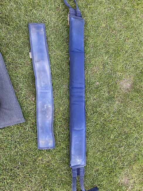Showmaster Longiergurt blau/roségold Full, Laura S., Lunging, Solingen, Image 2