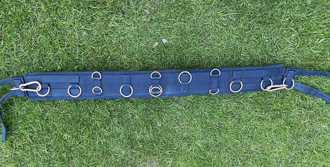 Showmaster Longiergurt blau/roségold Full, Laura S., Lunging, Solingen, Image 3