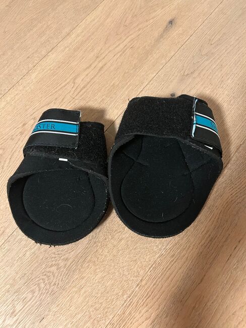 Showmaster Streichkappen, Stephanie Mathis, Tendon Boots, Oerlingen