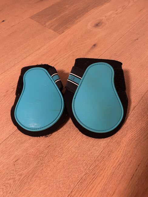 Showmaster Streichkappen, Stephanie Mathis, Tendon Boots, Oerlingen, Image 2