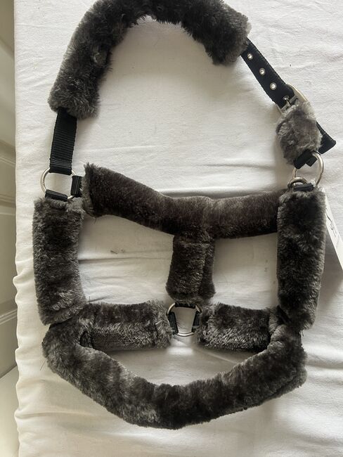 SHOWMASTER, Teddyfleece-Halfter, COB, grau, Neu, SHOWMASTER Teddy-Fleece Halfter, Gaby Lais, Halters, Malsburg-Marzell
