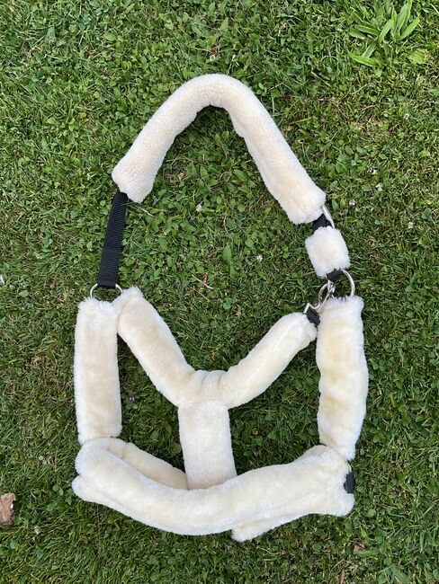 Showmaster Teddyfleece Halfter X-Full, Showmaster  Showmaster Teddyfleece Halfter X-Full, Shari Bahnsen, Halters, Münstertal