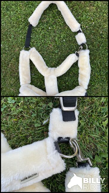 Showmaster Teddyfleece Halfter X-Full, Showmaster  Showmaster Teddyfleece Halfter X-Full, Shari Bahnsen, Kantary, Münstertal, Image 3