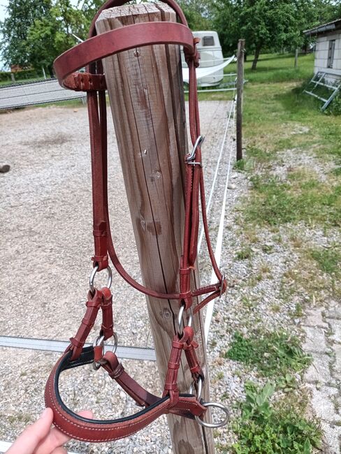 Side Pull Zaum, Caroline Gaiser , Bitless Bridles, Nagold