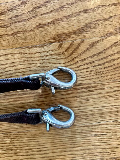 Side Reins with Donut, Stephanie, Sonstiges, Edmonton , Abbildung 3