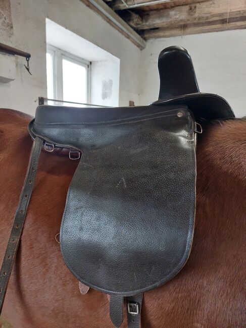 Damensattel, Melanie Heindl , Other Saddle, Tuttlingen, Image 2