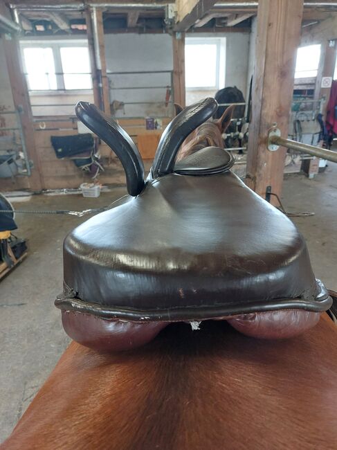 Damensattel, Melanie Heindl , Other Saddle, Tuttlingen, Image 4