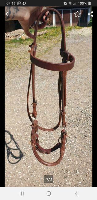 Sidepull 1 Jahr alt, Jenny Hinterholzner , Bitless Bridles, Simbach , Image 2