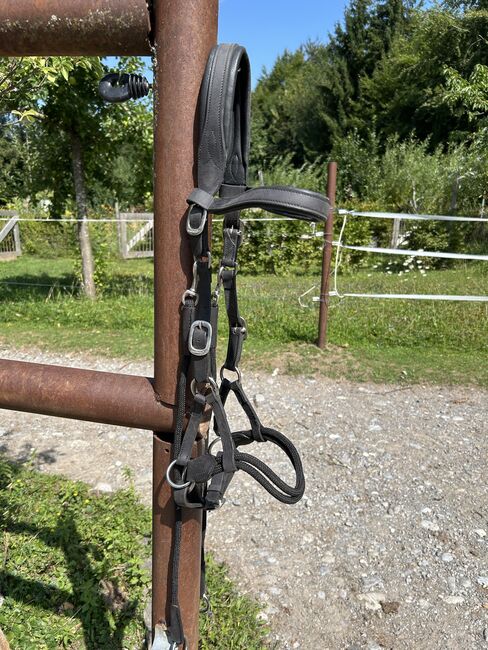 Sidepull / Bitless Bridle, Barefoot Syringa, Luzia, Bitless Bridles, Spiez