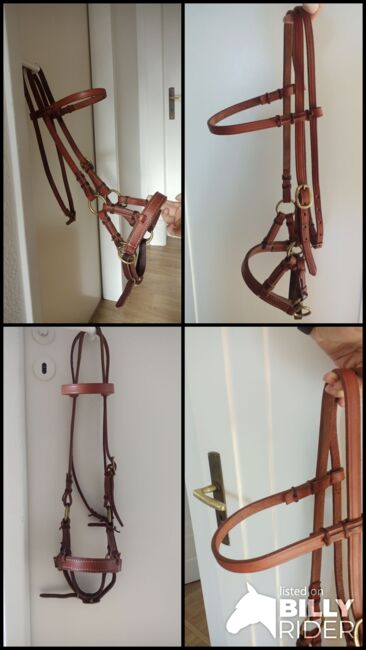 SidePull, Cognac / Messing, VB / WB, Trense gebisslos, M. Wegner , Bitless Bridles, Hilden, Image 6