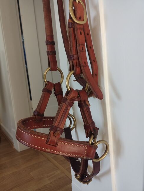 SidePull, Cognac / Messing, VB / WB, Trense gebisslos, M. Wegner , Bitless Bridles, Hilden, Image 2