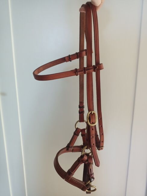 SidePull, Cognac / Messing, VB / WB, Trense gebisslos, M. Wegner , Bitless Bridles, Hilden, Image 4