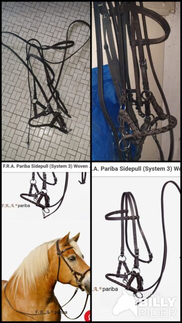 Sidepull F.R.A. Pariba Gr. WB, F.R.A. Pariba, Tanja Althaus , Bitless Bridles, Bad Berleburg, Image 5