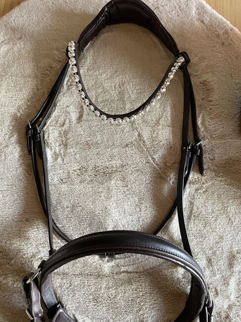 Sidepull mit Glitzerstirnriemen, Katja Limmer, Gebisslose Zäumungen, Selb