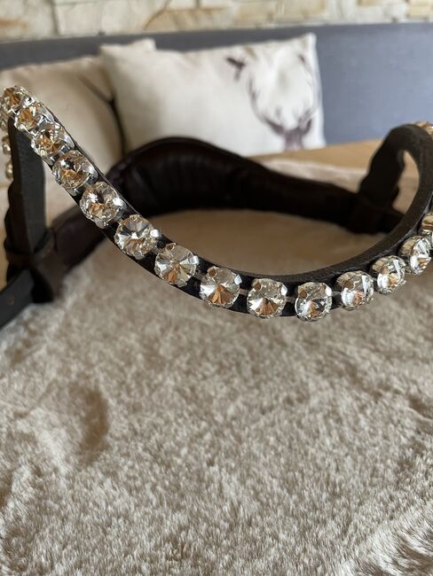 Sidepull mit Glitzerstirnriemen, Katja Limmer, Gebisslose Zäumungen, Selb, Abbildung 7